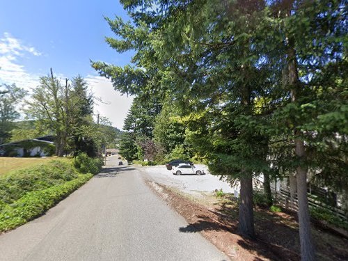 Evergreen-lined street near the home